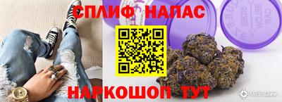 тгк Моздок