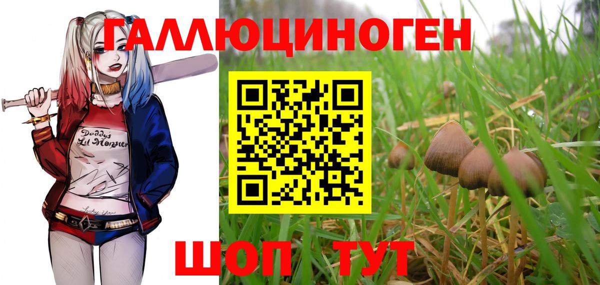 Псилоцибиновые грибы прущие грибы  Вход с VPN  Усолье-Сибирское  Галлюциногенные грибы мицелий 