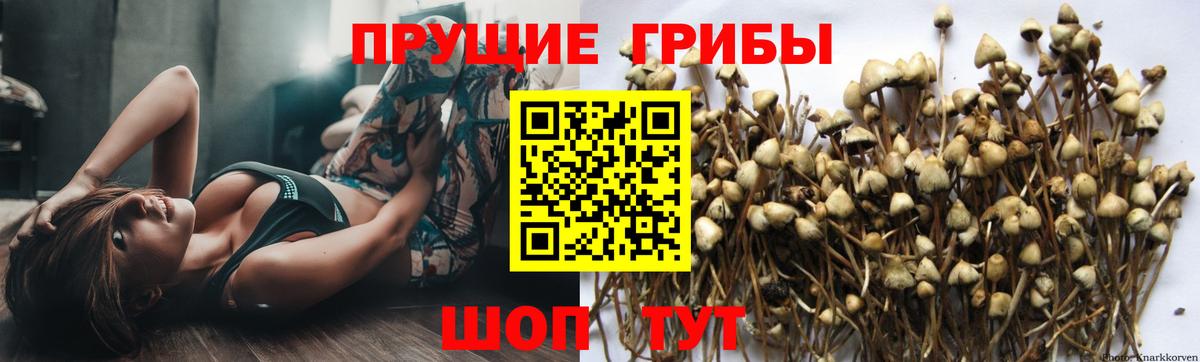 Псилоцибиновые грибы MAGIC MUSHROOMS Усолье-Сибирское